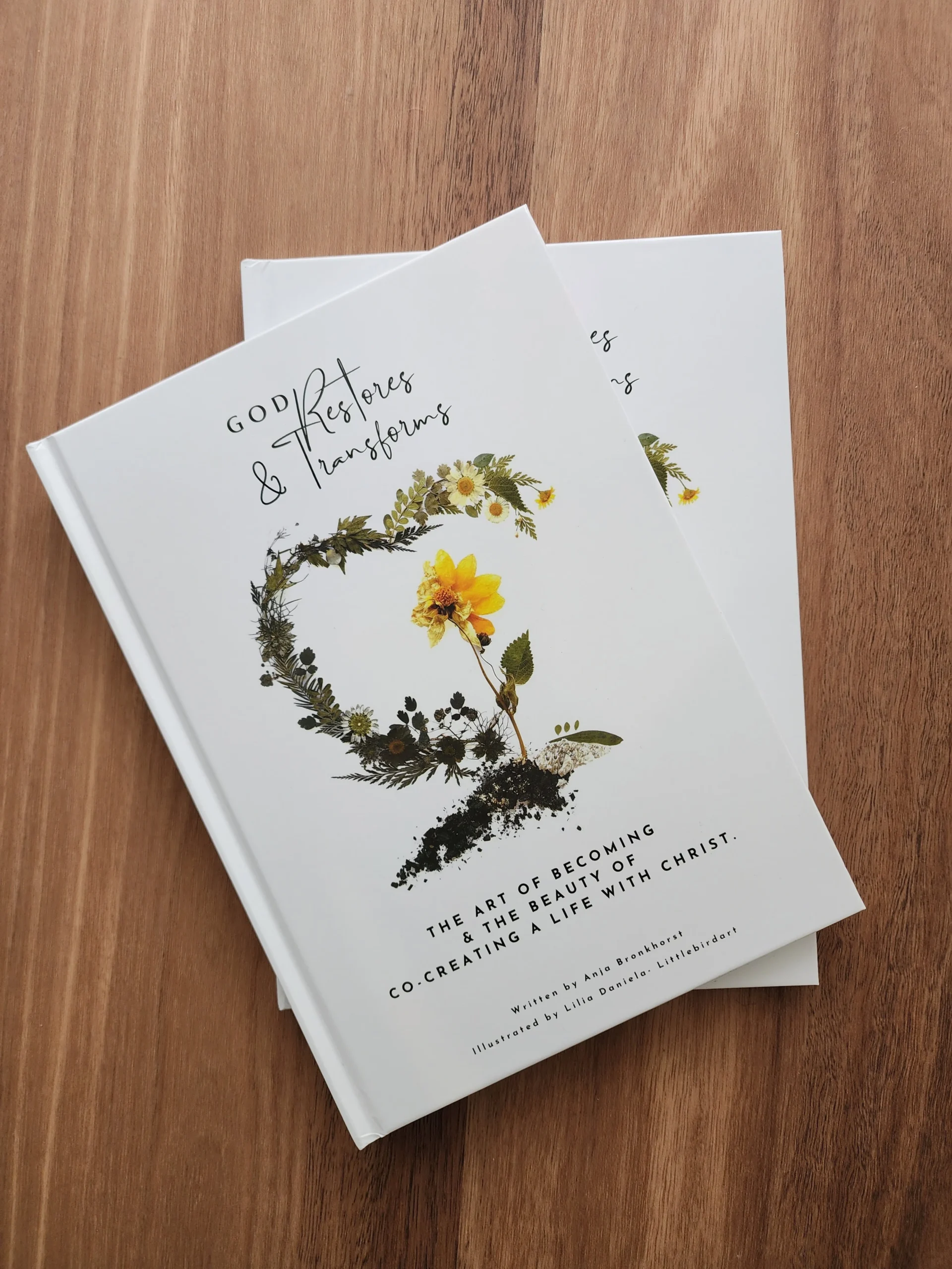 God Restores and Transforms Book bundle