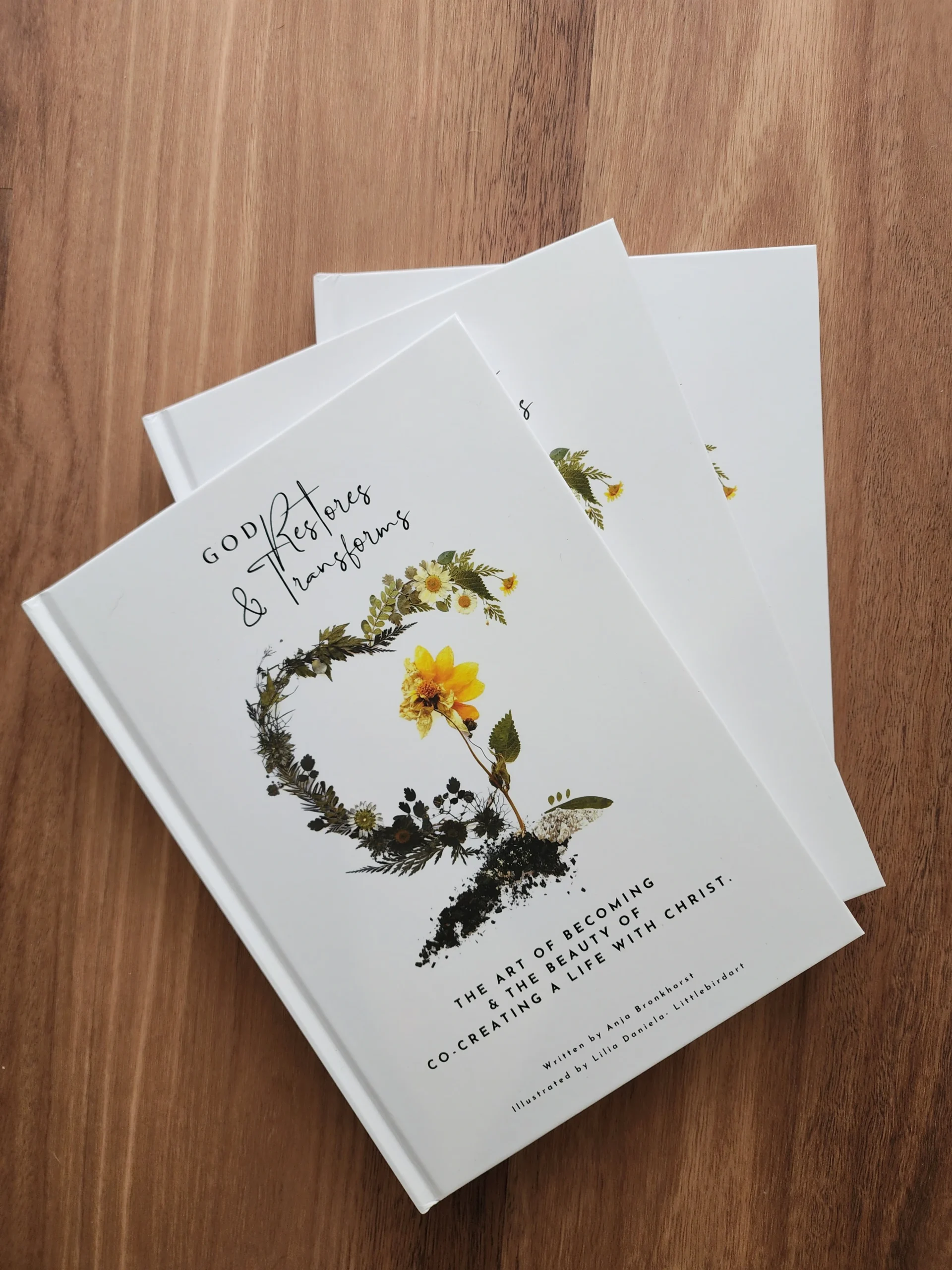 God Restores and Transforms Book bundle